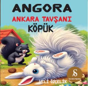 Angora - Ankara Tavşanı Köpük