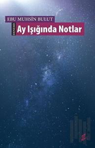 Ay Işığında Notlar