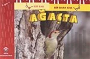 Bir Bak Bir Daha Bak - Ağaçta