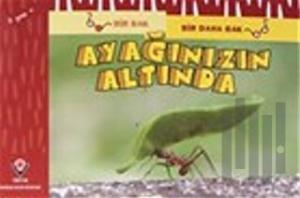 Bir Bak Bir Daha Bak - Ayağınızın Altında