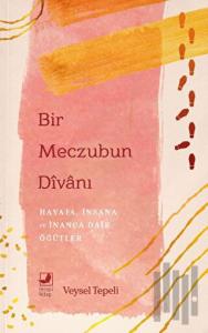 Bir Meczubun Divanı