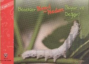 Böcekler Nasıl ve Neden Büyür ve Değişir?