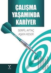 Çalışma Yaşamında Kariyer