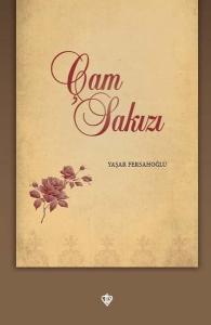 Çam Sakızı (Ciltli)