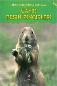 Çayır Besin Zincirleri