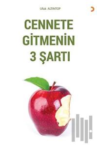 Cennet Gitmenin 3 Şartı