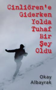 Cinliören'e Giderken Yolda Tuhaf Bir Şey Oldu (Ciltli)