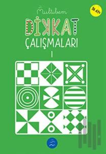Dikkat Çalışmaları - 1