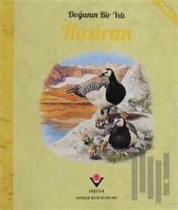 Doğanın Bir Yılı - Haziran