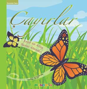 Ekosistem - 2/ Çayırlar: Yeşil ve Altın Sarısı Alanlar