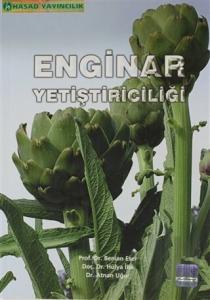 Enginar Yetiştiriciliği