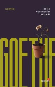 Genç Werther'in Acıları