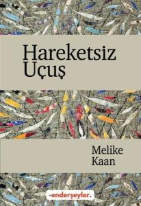 Hareketsiz Uçuş