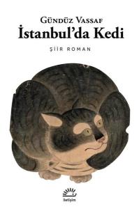 İstanbul'da Kedi - Şiir Roman