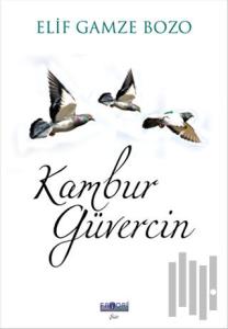 Kambur Güvercin