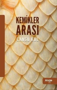 Kemikler Arası