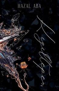 Kızıltepe - Mahalle Serisi 2