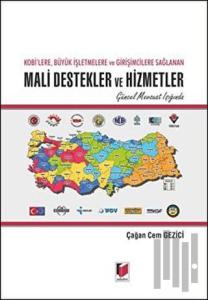 Kobi'lere, Büyük İşletmelere ve Girişimcilere Sağlanan Mali Destekler ve Hizmetler (Ciltli)