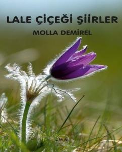 Lale Çiçeği Şiirler