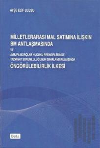 Milletlerarası Mal Satımına İlişkin BM Antlaşmasında ve Avrupa Borçları Hukuku Prensiplerinde Tazmin