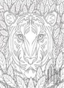 Nuh’un Gemisi Kaplan Tuval Boyama