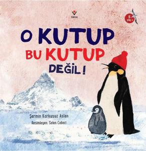 O Kutup Bu Kutup Değil!