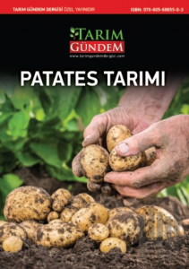 Patates Tarımı