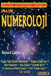 Pratik Numeroloji - Bilmek İstediğiniz Her Şey