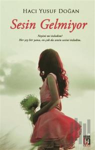 Sesin Gelmiyor