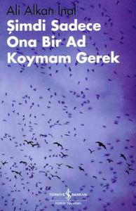 Şimdi Sadece Ona Bir Ad Koymam Gerek