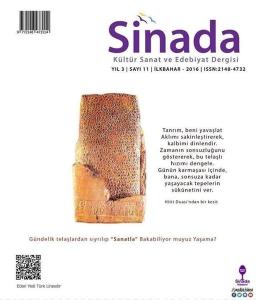 Sinada Dergisi Sayı 11