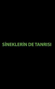 Sineklerin de Tanrısı
