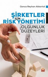 Şirketler İçin Risk Yönetimi Olgunluk Düzeyleri