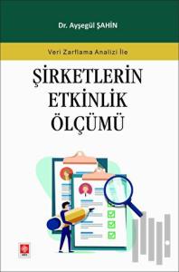 Şirketlerin Etkinlik Ölçümü