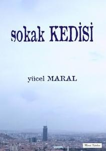 Sokak Kedisi