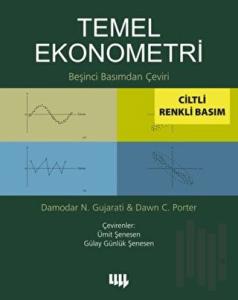 Temel Ekonometri (Renkli) (Ciltli)