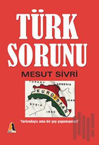 Türk Sorunu