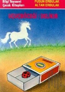 Uçuçböceği / Delikır