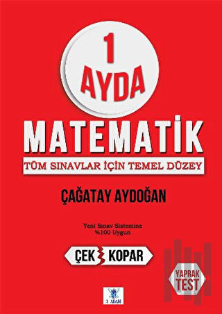 1 Ayda Matematik