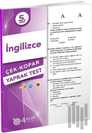 5. Sınıf İngilizce Çek Kopar Yaprak Test