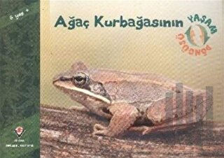 Ağaç Kurbağasının Yaşam Döngüsü