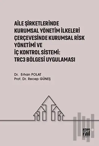 Aile Şirketlerinde Kurumsal Yönetim İlkeleri Çerçevesinde Kurumsal Risk Yönetimi ve İç Kontrol Sistemi: Trc3 Bölgesi Uygulaması