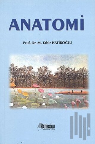 Anatomi
