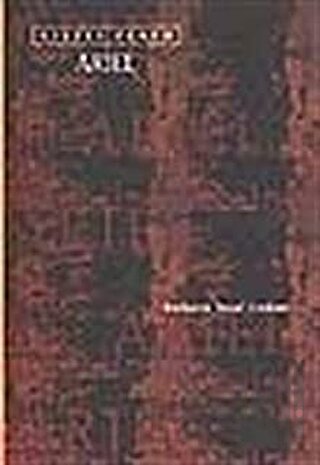 Ariel | Kitap Ambarı