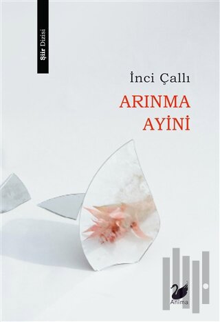Arınma Ayini