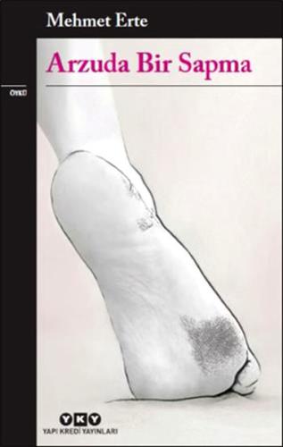 Arzuda Bir Sapma | Kitap Ambarı