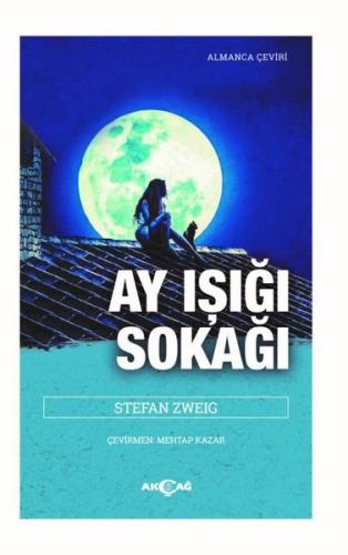 Ay Işığı Sokağı | Kitap Ambarı