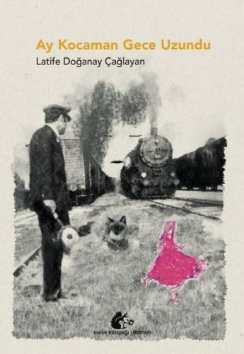 Ay Kocaman Gece Uzundu | Kitap Ambarı