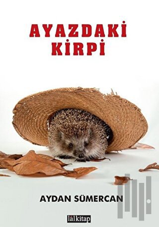 Ayazdaki Kirpi | Kitap Ambarı