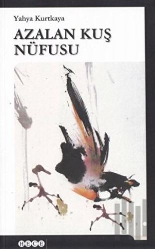 Azalan Kuş Nüfusu | Kitap Ambarı